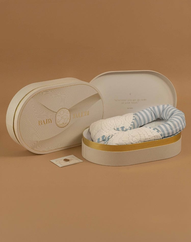 Cocoon Newborn Wrap - Blue