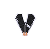 ANIMAL ALPHABETS V